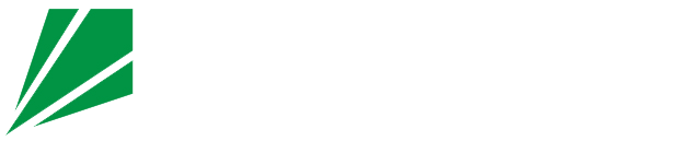 Car Detailing Advertising Logo